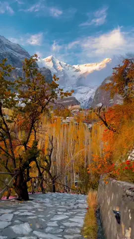 Chasing colors of fall in the mountains.#asifashoor #rozi #foryou #skardu 