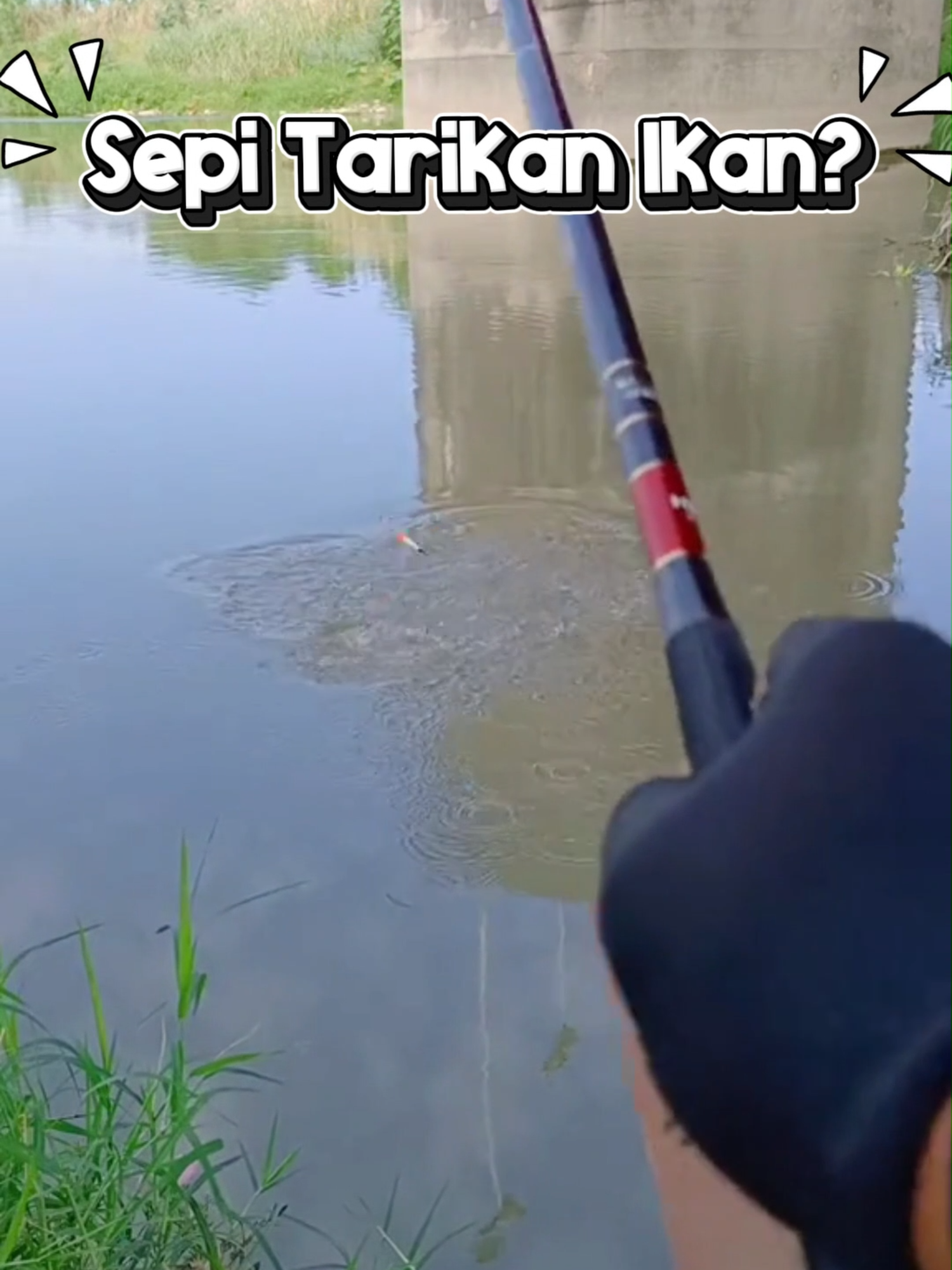 ikan susah makan? #essen #mancing #mancingmania #umpanmancing #essenfishbite #galatama