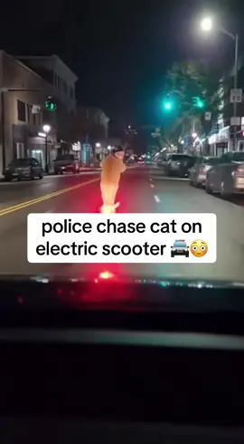 this only happens in the US 😭 #police #policechase #copsusa #bodycam