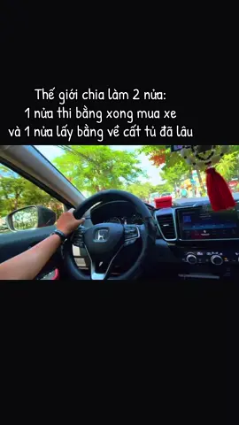 Bạn thuộc nửa nào??#nguyentanthien #danang 