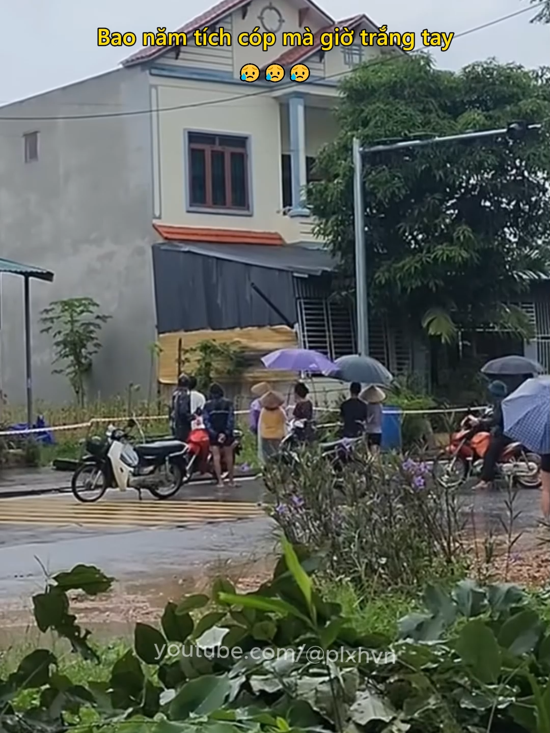Bao năm tích cóp mà giờ trắng tay 😥 #tuyenquang #satlodat #tainan #xaynha #tamtrang #xotxa #plxhvn #phapluatxahoi