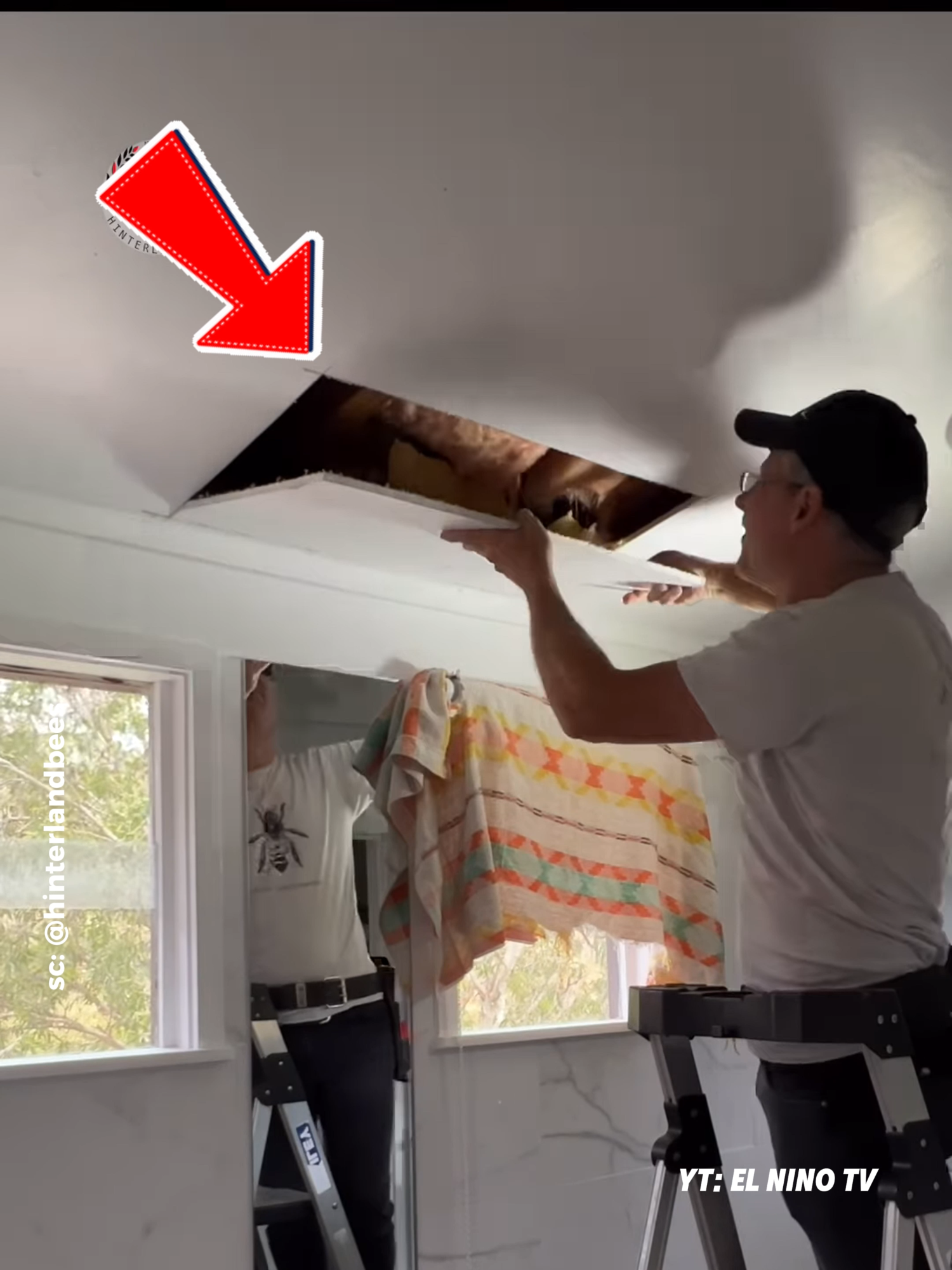 What’s Hiding in My Ceiling? You Won’t Believe This! Source: @hinterlandbees via ig Follow Our Social Media: TT: @el_nino_tv IG: elnino_tv_official FB: El Nino TV YT: EL NINO TV #secret #surprise #honey #honeybee #bee #beergarden #animals #viral #viralvideo #viraltiktok #trending #fyp #fypシ゚