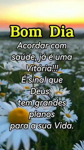 Bom dia Amados. Que sejamos Gratos, a toda a bondade, e saúde, que Deus nos proporciona.  Amém 🙏 🙏 🙏  #foryoupage #fyp #fypシ゚ #tiktok  @Júnior Jardim @Júnior Jardim @Júnior Jardim #CapCut 