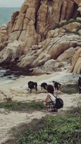 Người ta sưu tầm nhà, sưu tầm xe còn anh sưu tầm kỉ niệm đẹp ❤️