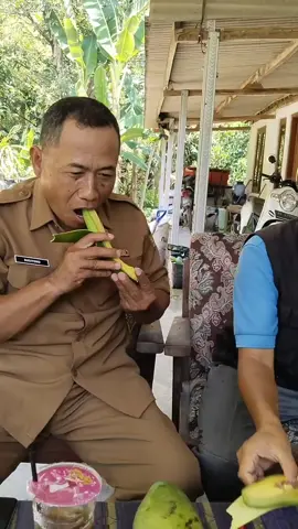 Review Alpukat Kelud bersama Mbah Lurah... 🌾☺🥑 #berkebun #alpukatkelud #japonursery 