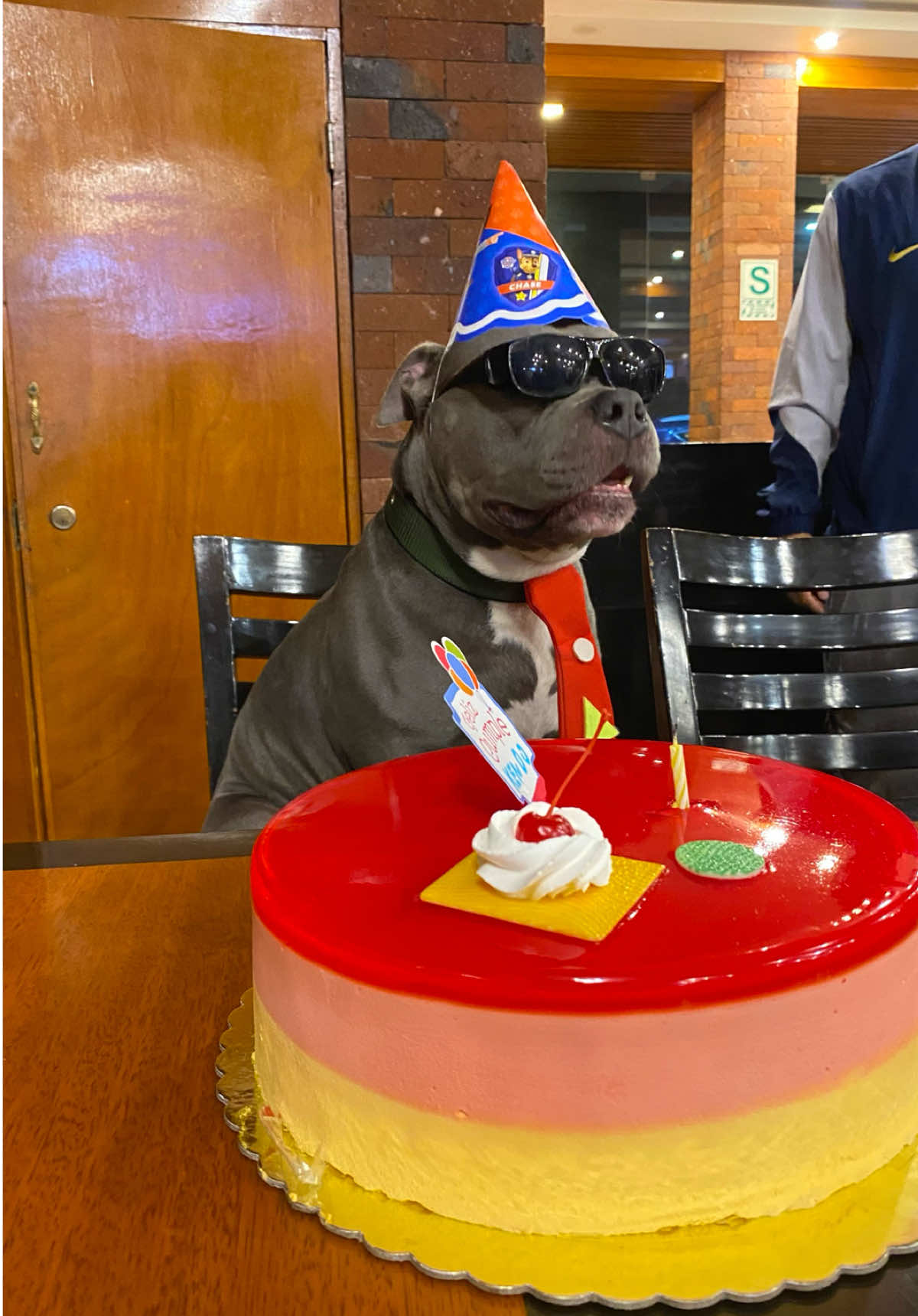 Feliz Cumpleaños Kendito 🥳 #doglovers #pitbulllove #mascotas 