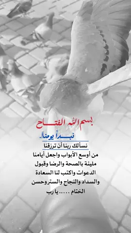 بسم الله نبدأ يومنا #اعادة_النشر🔃 #إيفان_الجيزانيه #صباح_الخير #اللهم_نسألك_أن_ترزقنا_الصحة_والعافية #اقتباسات_دينيه 