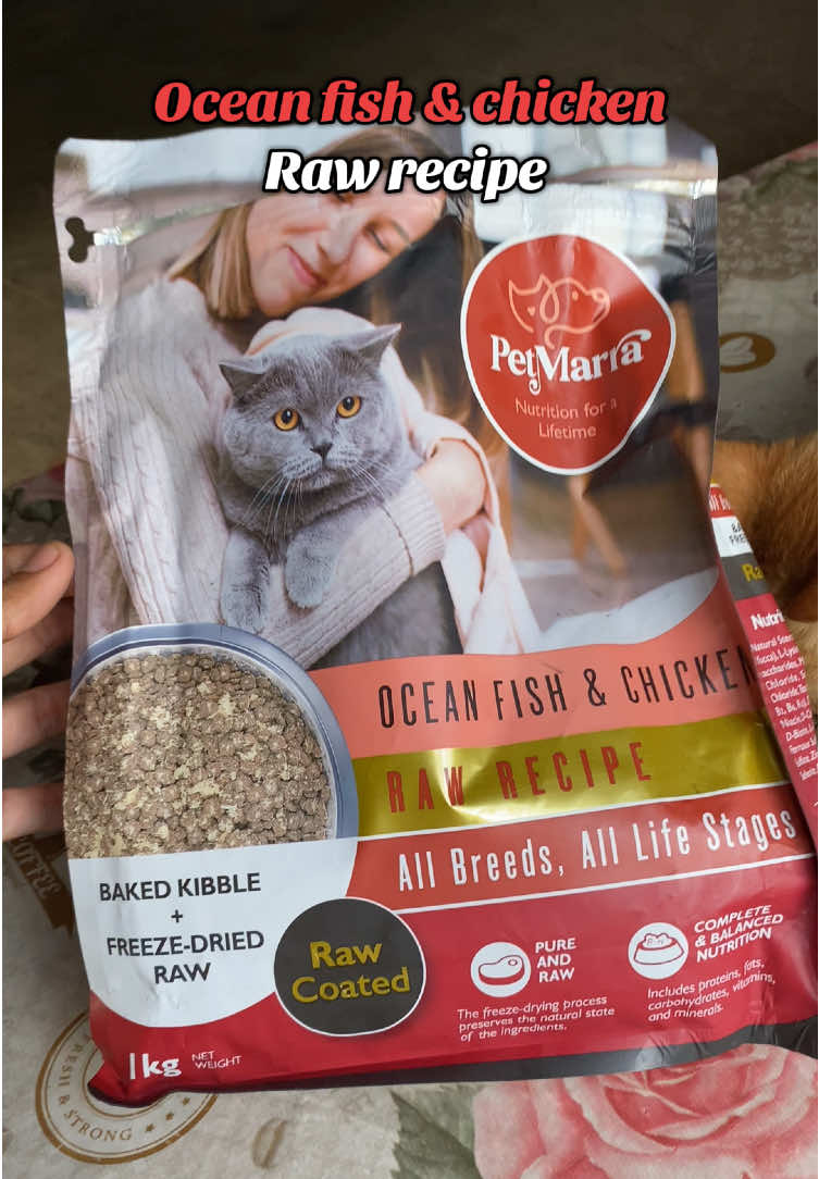 Cat food from pet marra for all breeds. Raw coated #petmarra #catfood #dryfood 