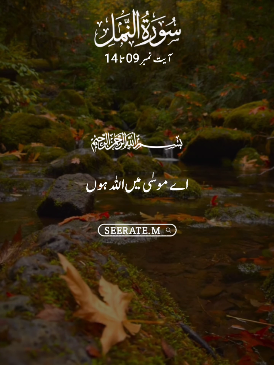 Quran kareem with translation 😍  surat namal ayat no 09 to 14 #quran #hadees #islam #seerate_m #viral 