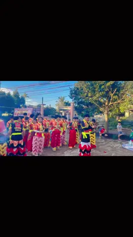 Lsr HỒNG PHÁT ra quân 2025  #lân_sư_rồng_niềm_đam_mê_bất_tận #mualan #lsrhongphat #maihoathung #chưse_pleiku 