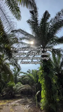 ✊🏻 #pemanensawit #kulisawit #sawitkalimantan #fypvideoviratiktok 
