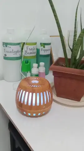 Gawin mong mas welcoming ang bawat sulok ng iyong tahanan. Amoy na nagbibigay saya at aliwalas sa bawat pag-uwi. 🏡💖 #FreshFeels #PabangonNgBahay #FreshHomeVibes #AmoyTahanan #CleanAndFresh  