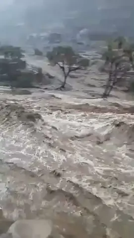flood 2025 #NaturePower #TrendingNow #Flood2025 #Flooding #StaySafe 