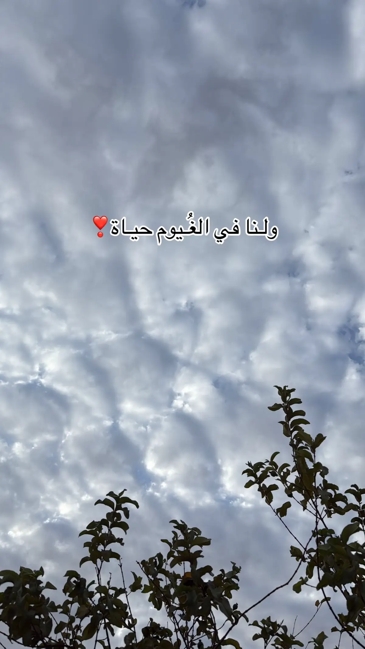 #يسعدلي__اوقاتڪۘم 