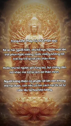 #hocphatmoingay #nammoadidaphat #kinhphapcu #phatphapnhiemmau 