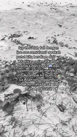#fyp #sumudflotilanusantara #freepalestina #gazapalestina #repost