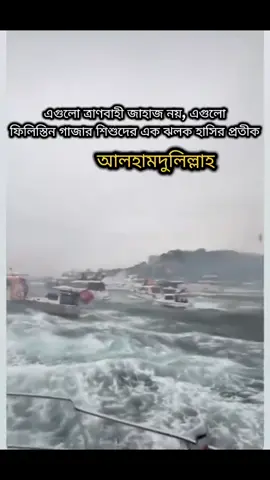 এগুলো ত্রাণবাহী জাহাজ নয় এগুলো  ফিলিস্তিন গাজার শিশুদের এক ঝলক হাসির প্রতীক 🥲😭 আলহামদুলিল্লাহ  হে আল্লাহ আপনি ফিলিস্তিনি গাজাবাসীকে হেফাজত করুন🤲 #pyfツ #pypシ #foryou #filistin🇵🇸 #vairal_video_tiktok 