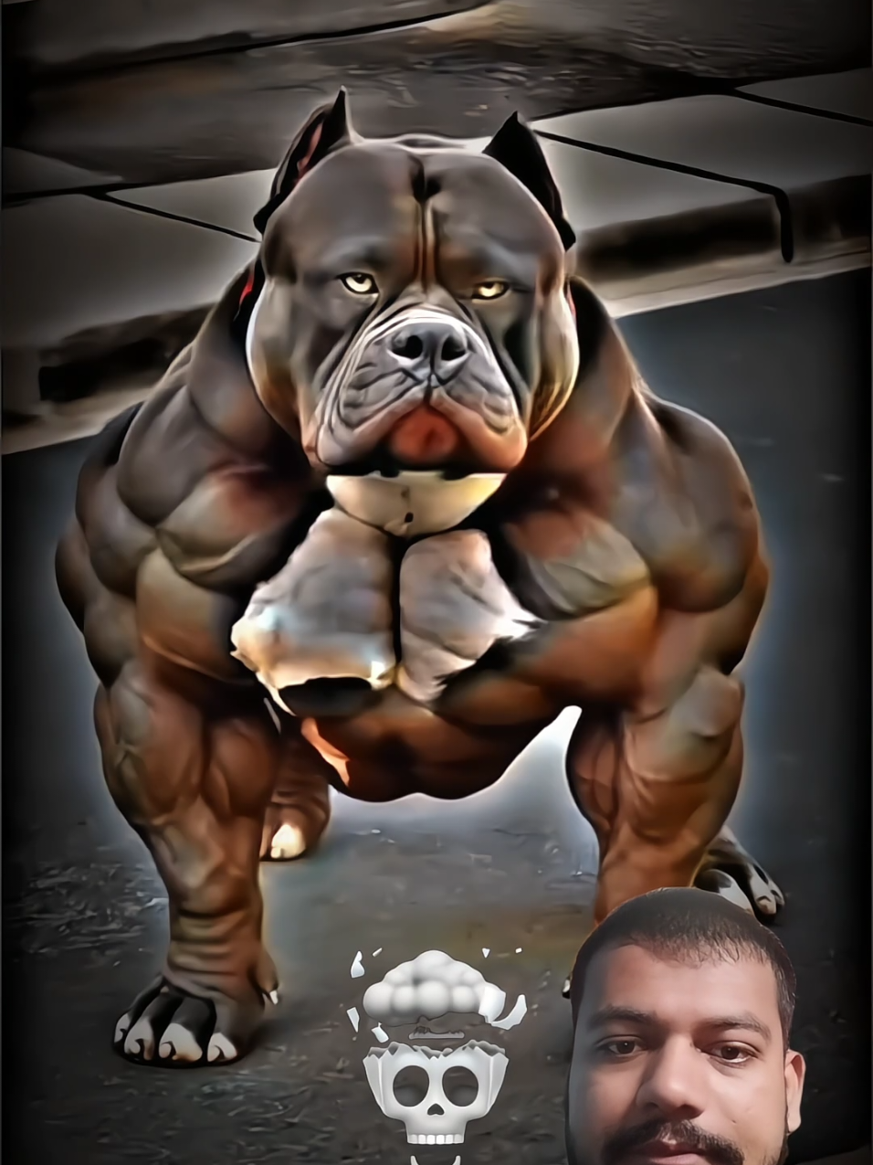 Big Dog Transformation short ☠️#transformations #trollface #virals 
