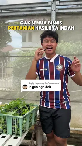 Replying to @pisangblue risiko terbesar bisnis pertanian adalah gagal panen, dan ini baru dari 1 meja kebun hidroponik kita, masih ada beberapa keranjang untuk sayuran hidroponik yang kita gagal panen 🙏🏻  #willforeverbeyourgreens #sayuranhidroponik #tanamanhidroponik #petanimuda #petanimilenial 