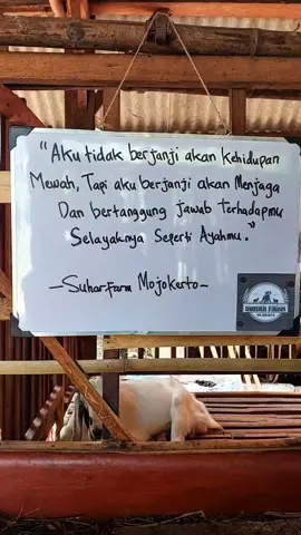 Kamu adalah tanggung jawabku 🌹 #jowopride #storyjowo #liriklagujowo #jowostory #xyzbcafypシ #xyzbca #fypage #fypageシ #katakatabijak #foryou #foryoupage #fypシ #fyppppppppppppppppppppppp 