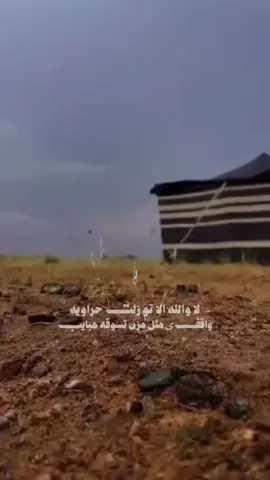 لا والله الا تو زلت حراويه  واقفی مثل مزن تسوقه هبايب كلمات / محمد عبدالله الرشيدي اداء / عمر الرشيدي تصميم فيديوهات شيلات🎶🎤🎬 اکسبلوررررررر تيك توك🌹