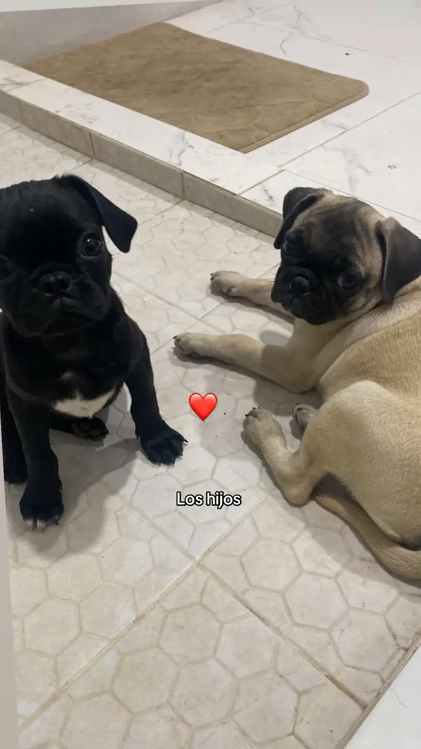 Ya extrañaba la pijama rosita jaja🥺 