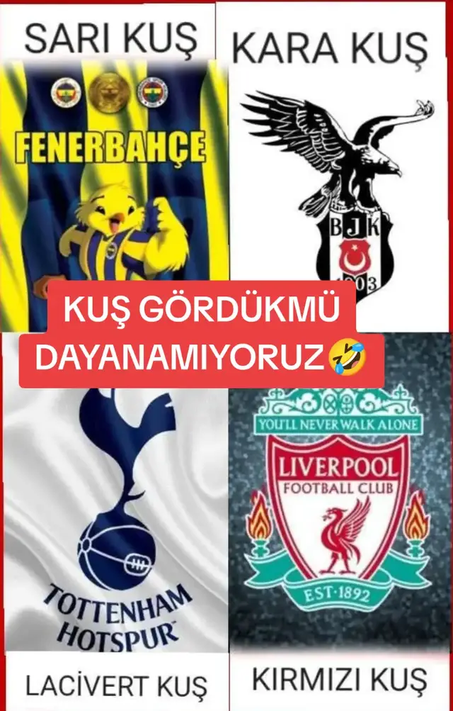 #türkiye🇹🇷 #hollanda🇳🇱 #fransa🇫🇷 #galatasaray💛❤ #almanya🇩🇪 