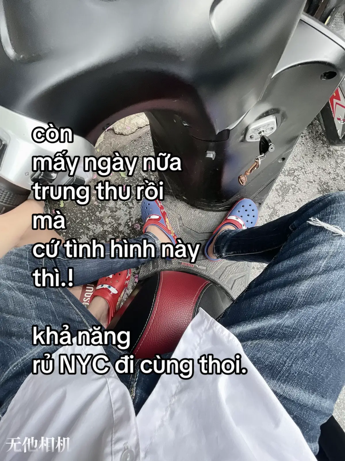 #xuhuong #viral #trungthudichoi#voi#ngyc 