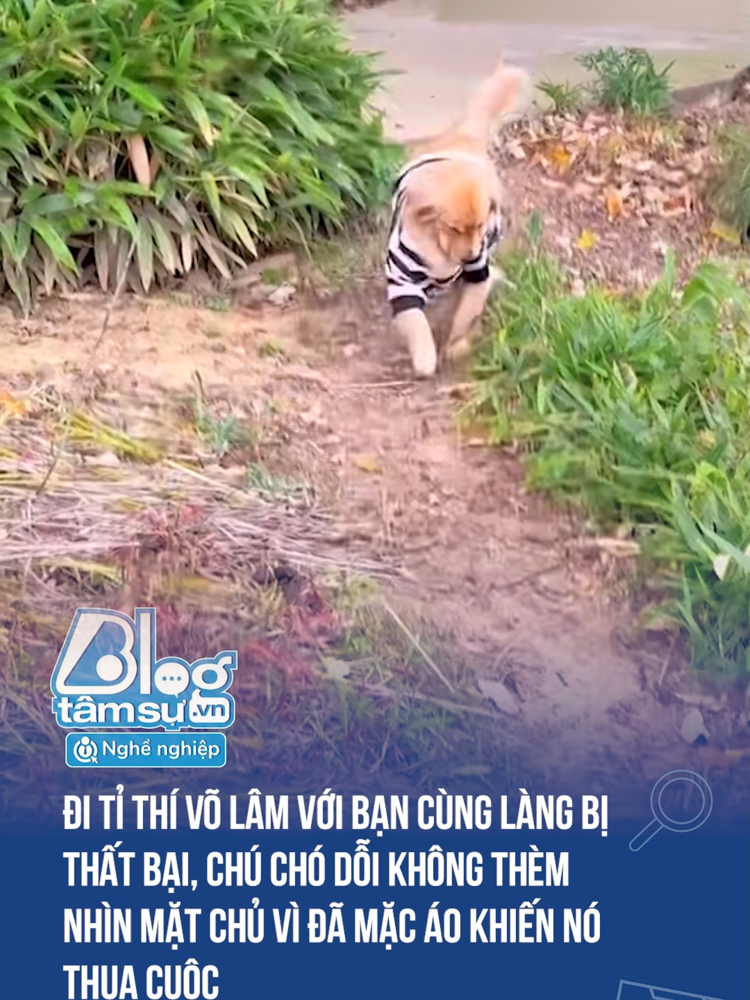 Nó không thèm nhìn mặt luôn kìa :))) #discovery #blogtamsu #xuhuong #btsmedia #tiktoknews #haihuoc #funfact #viral #dangyeu #cho