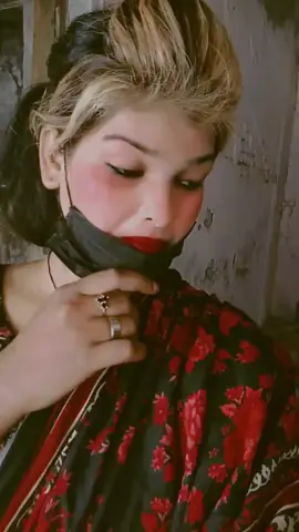 🌹🌹🌹🌹🌹🌹