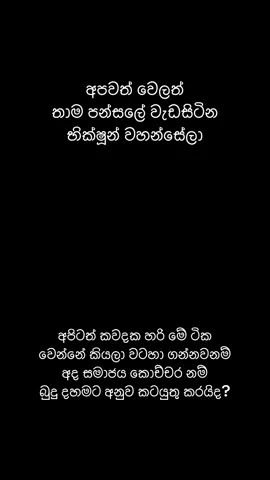 අපවත් වෙලත් තාම පන්සලේ වැඩසිටින භික්ෂූන් වහන්සේලා...!  #flypシ  #foryoupage  #fppppppppppppppppppp  #fyppppppppppppppppppppppp  #fvvvvvvvvvvvvvvvvvvvvvvvvvvvvv 