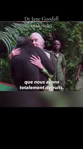 #CapCut Jane Goodall est la première scientifique à avoir observé et rapporté que les chimpanzés utilisent des outils pour s'alimenter. Ses travaux ont profondément transformé la compréhension des rapports entre les êtres humains et les autres animaux. En 1977, elle fonde l'Institut Jane Goodall pour la protection de la biodiversité, l'aide au développement durable et l'éducation. RIP Dr Jane Goodall et merci🙏 #janegoodall 