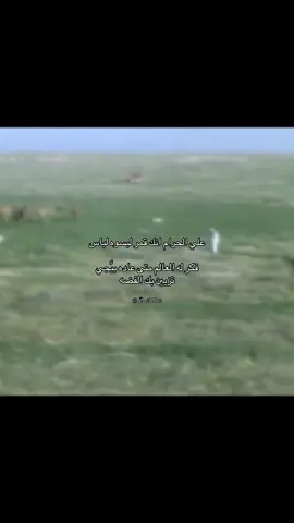 علي الحرام انك قمر لبسوه لباس فكر له العالم منى عاده بيَّجي تزيين بك الفضه #الرويس    #العتيبي      #قصيد    #A      #حب 