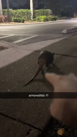 bro