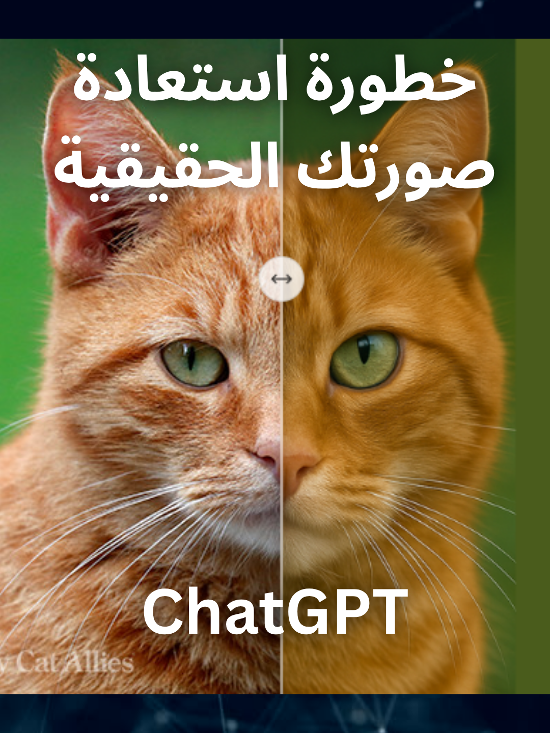 صورتك اللي سويتها من خلال شات gpt كصورة رسومي بأسلوب استوديو غيبلي، ممكن من خلالها استعادة ملامحك الحقيقية!!!، الفيديو يوضح المخاطر الأمنية لأغراض نشر الوعي، الشرح لأغراض توعوية ونشر المعرفة وزيادة الوعي الامني، الشرح لأغراض تعليمية وزيادة الوعي وتوضيح الجوانب التقنية لحماية الخصوصية والبيانات #برمجة #البرمجة #البرمجة_للمبتدئين #الامن_السيبراني #السعودية #viral #explore #foryou #fyp