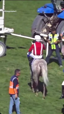 #سباقات_الخيل #الخيل_عشق_لاينتهي🐎❤️ #الخيل_من_خيالها 