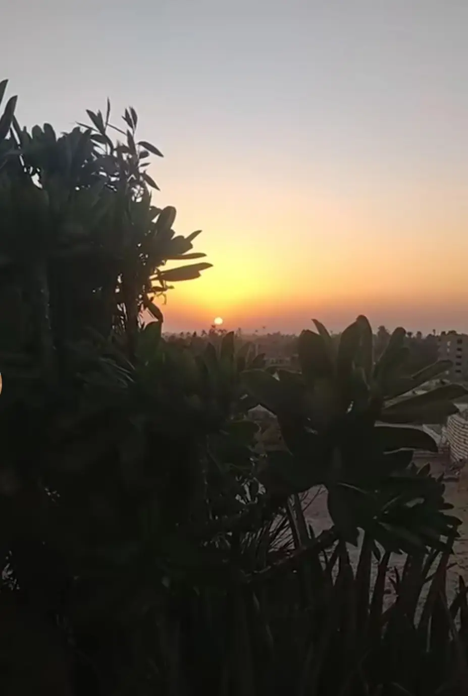 الرسالة المحمديه - رمضان الشعراوى 