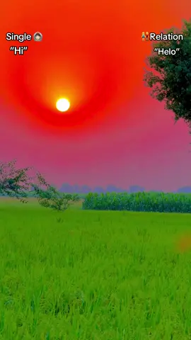 #پینڈاں_آلے #trending #foryoupage #dontunderreviewmyvideo #1million 