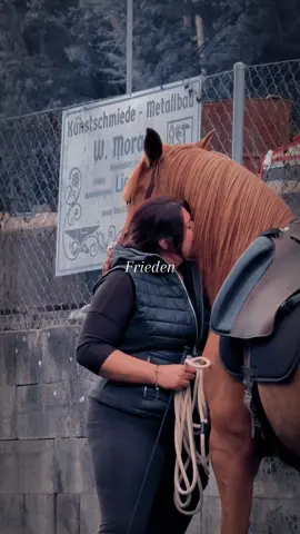Der Text ♥️. Ist es nicht genau so? #pferd #pferdemädchen #pferdetiktok #frieden #pferdeliebe  *Werbung* Stiefel & Equipment Mano @ElMosquero 