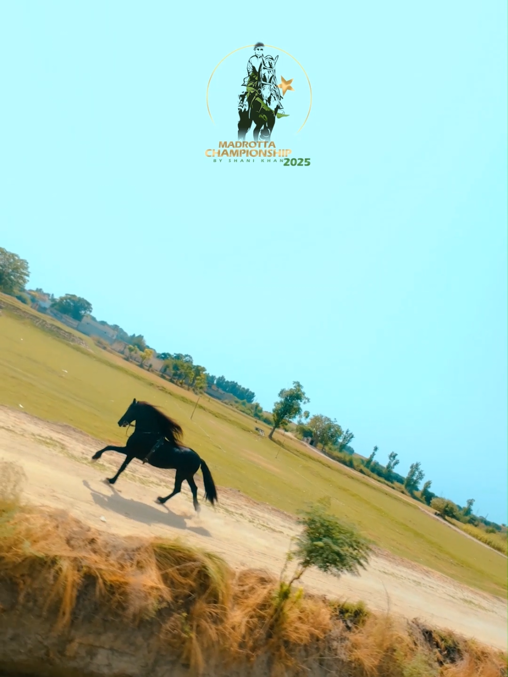 Black Friesian Beauty 🐎🐴🖤 #friesianhorse #blackhorse #vfx #blackdiamond #dronevideo 