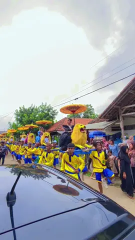 Meni resep kie, singa depok Tresnawangi subang🦁