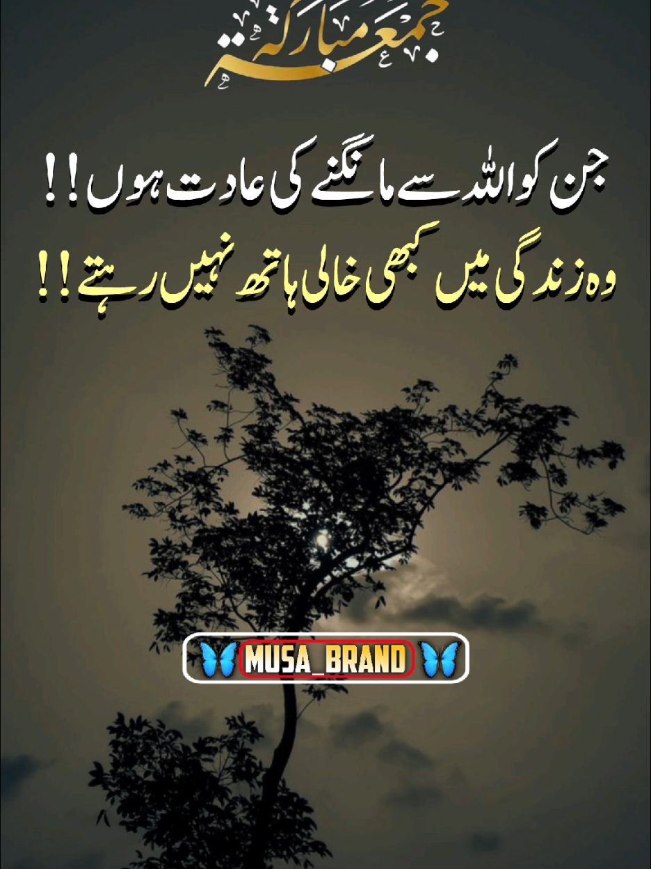 #foryoupage #musa_brand 