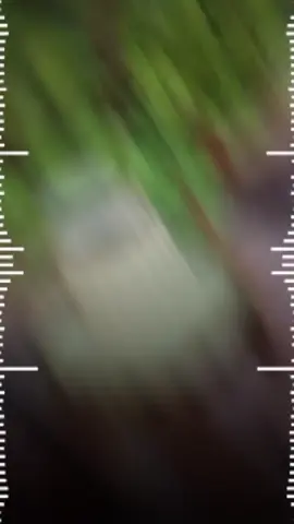 #CapCut 😌🩷