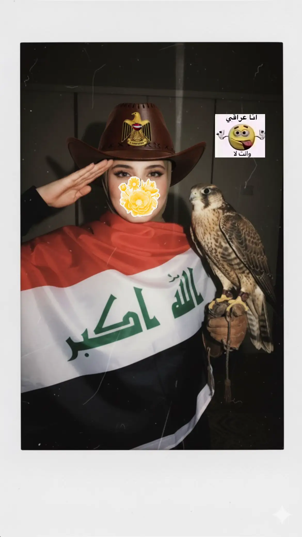#العراق #اليوم_الوطني_العراقي🇮🇶 #iraq #gemini #googlegemini 