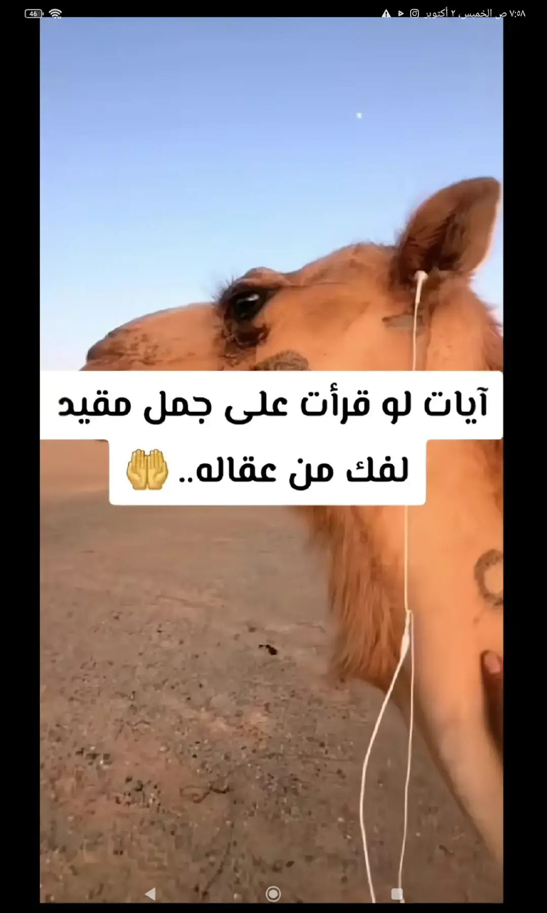 #ذكر_الله #دعاء #مقاطع_دينيه 