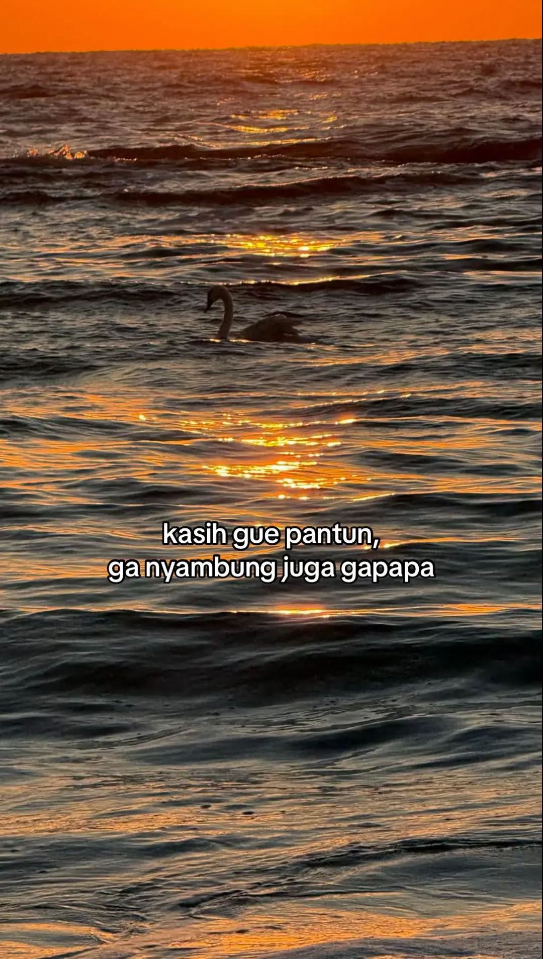 cakeppp #fyp #xybca 