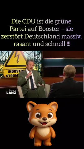 „Die CDU ist die grüne Partei auf Booster – sie zerstört Deutschland massiv, rasant und schnell“