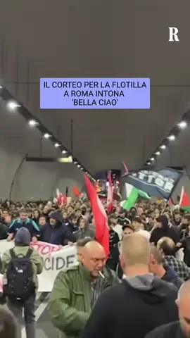 Migliaia di persone in piazza a manifestare nella capitale dopo che le navi dell'esercito di Israele hanno bloccato quelle della carovana della Flotilla. Nelle vie di Roma sono confluiti tantissimi manifestanti in pochissime ore. Al grido di 