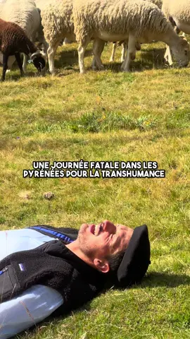 Je n’avais pas le foie 😬