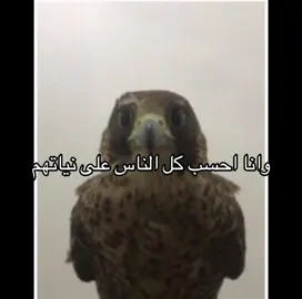 تعلمت الحمدلله+ضيفوني بالله🌹 #اكسبلور #explor #explor #الشعب_الصيني_ماله_حل😂😂 #اكسبلورexplore 